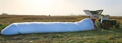 En el lote. El almacenaje en enormes bolsones de plástico ayuda a los productores en la logística y la comercialización; cuestan 6000 pesos y guardan hasta 200 toneladas de granos