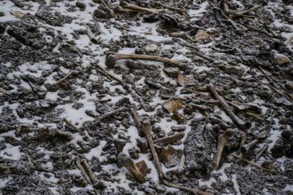 En el lugar se han encontrado los restos de unas 600 u 800 personas