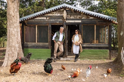 En el lugar, también hay ovejas, pavos reales, caballos y un gallinero. “Estamos tratando de armar todo con mucha onda”, cuenta Ivo.