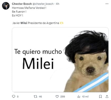 En el marco de la asunción de Javier Milei, las redes estallaron de memes