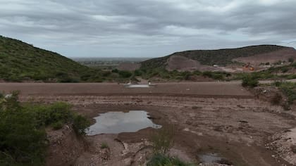 En el marco del Día Mundial del Agua, el Gobierno de Mendoza firmó un convenio con Cervecería y Maltería Quilmes para impulsar un proyecto piloto de regeneración hidrológica en el piedemonte del Área Metropolitana.