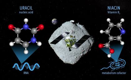 En el material traído del asteroide Ryugu se descrubrió uracilo y niacina 