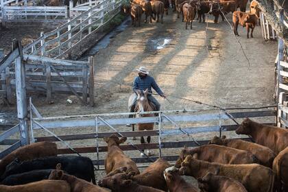 En el Mercado de Hacienda de Liniers se tomaron medidas de seguridad.