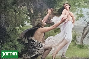 Fue un emblema en la Antigüedad y hoy vuelve a ganar lugar en jardines contemporáneos