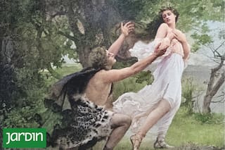 Fue un emblema en la Antigüedad y hoy vuelve a ganar lugar en jardines contemporáneos