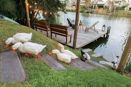 En el muelle que se ve desde el quincho, fanales de hierro comprados en anticuario.