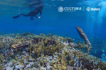 En el naufragio se encontró lingotes de hierro que se usaban como lastre, tubos, un cañón de aproximadamente 2.5 metros de largo y un ancla.