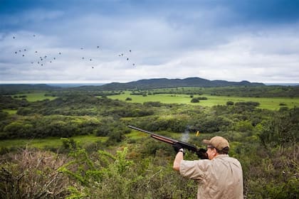 En el norte de Córdoba, hay 20 complejos que ofrecen excursiones para los palomeros