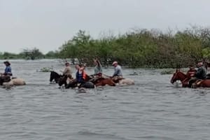 Una región inundada tiene más de 400.000 cabezas de ganado en emergencia y advierten que llegará más agua