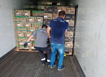 En el operativo, los funcionarios del Senasa confirmaron que los productos incautados presentaban una posible transgresión a las normativas referidas a la obligatoriedad de circular con el Documento de Tránsito Vegetal Electrónico (DTV-e)