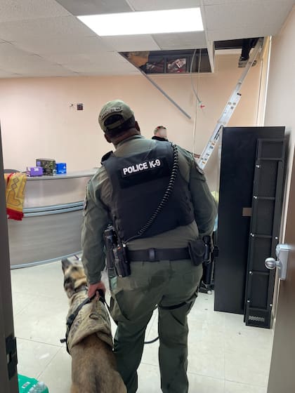 En el operativo se utilizaron "agentes K-9", como se le llama a los perros policía