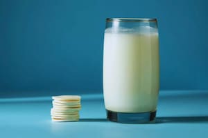 Desarrollaron un mini alimento versátil, con un valor nutricional comparable al de la leche