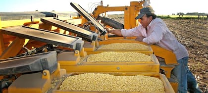 En el país hay 166 empresas dedicadas al negocio de semillas