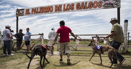 En el Palermo de los galgos, ayer, había cierta incertidumbre sobre el futuro de la actividad
