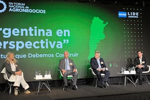 Qué necesita la Argentina para responder a una demanda mundial insaciable, según los CEOs de la industria