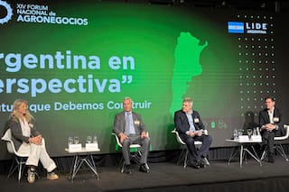 Qué necesita la Argentina para responder a una demanda mundial insaciable, según los CEOs de la industria