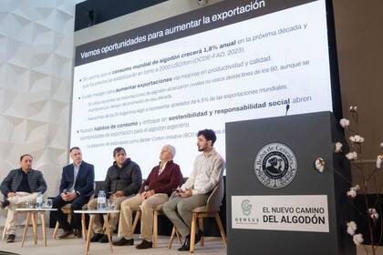 En el panel sobre por qué innovar en algodón, desafíos y oportunidades al 2030 estuvieron Mauricio Tcach (INTA EEA Sáenz Peña); Pablo Yezdrich (LDC); Hipólito Ruiz, periodista de Diario Norte; Claudio Mazás (Mayton) y Matías Gutman, de Fundar