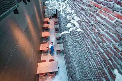 "En El Papagayo hay una intimidad, hay mucha cercanía entre la gente y nosotros. No hay una sola ventana", dice Javier Rodríguez