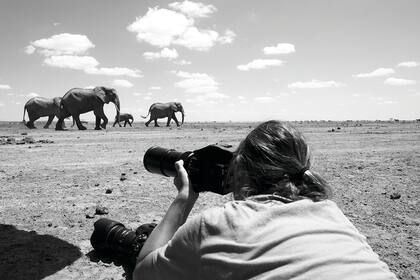 En el
Parque Nacional Amboseli, en Kenia, fotografiando elefantes.