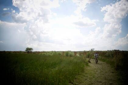 En el parque nacional Ciervo de los Pantanos se encuentran ambientes representativos de las ecorregiones Delta e Islas del Paraná, Pampa y Espinal