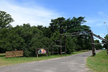 En el Parque Pereyra Iraola convive la flora nativa con la exótica y es un espacio por el que transitan miles de personas