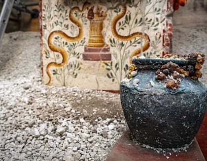 En el patio de la casa descubrieron un altar para animales con pinturas sobre la naturaleza