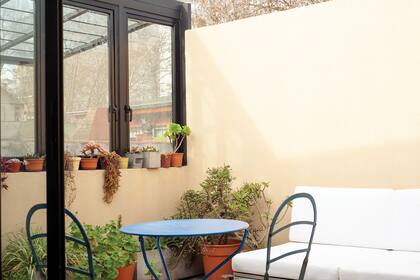 En el patio hay muchas plantas y una parrilla.