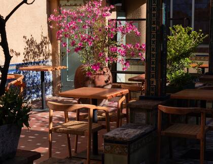 En el patio, la gran reina es la parra que da uvas y hojas que ya se comenzarán a usar para sus platos.