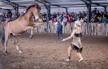 En el picadero, la adiestradora de caballos Ailin Wegrzyn da muestra de su destreza con los caballos.