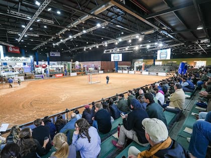 En el predio de la Sociedad Rural Argentina (SRA) se lleva adelante hasta el viernes la 82ª ExpoAngus