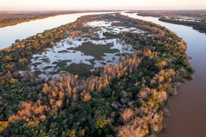 En el presupuesto 2025 se asignan unos $9091 millones a la Ley de Bosques, una fuerte caída ya que –según la propia norma– ese fondo fiduciario debería recibir un mínimo del 0,3% del presupuesto, mientras que el monto asignado representa el 0,0077%