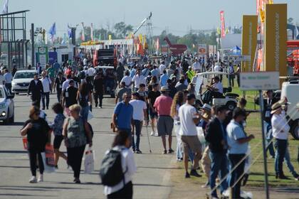 En el primer día pasaron por la muestra 25.000 personas