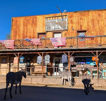 En el pueblo de Oatman los burros salvajes deambulan por las calles junto con los turistas (Instagram/@onvacationagain)