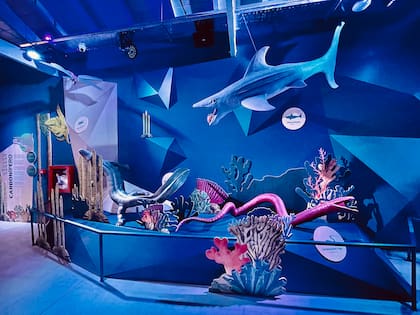 En el recinto donde funcionaba un serpentario se inauguró la Estación Oceánica, la nueva atracción del Ecoparque porteño