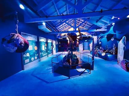 En el recinto donde funcionaba un serpentario se inauguró la Estación Oceánica, la nueva atracción del Ecoparque de la Ciudad