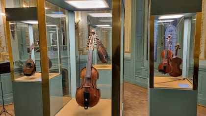 En el renovado Salón Dorado, de la Casa Fernández Blanco, se exhiben violines de alto valor histórico