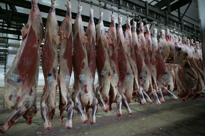 “Los despachantes de Aduana nos dijeron que la instrucción hoy es no sacar nada de carne”, dijo a LA NACION una fuente del sector