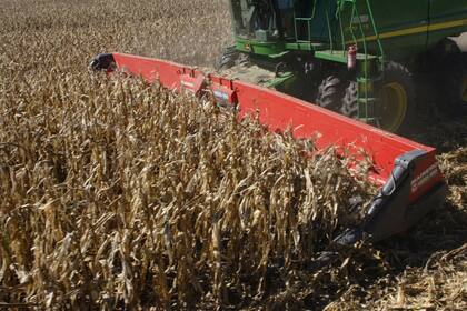 En el sector hay temor a una suba de los derechos de exportación