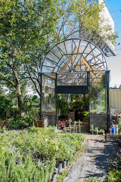 En el sector trasero del predio se encuentra el vivero de plantas ornamentales para exterior