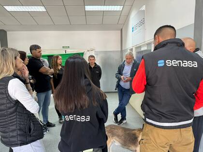 En el Senasa el paro continúa hasta mañana
