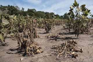 Una apuesta de riesgo para las lluvias de otoño e invierno