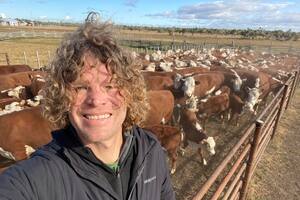 En el sur, Esteban Gallie hace ganadería con el llamado Manejo de Bosques con Ganadería Integrada (MBGI)
