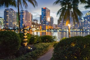 Noticias del sur de Florida y Miami hoy: últimas actualizaciones del miércoles 21 de enero