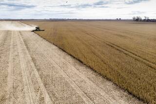 Entre la crisis y el miedo, un pasaporte al futuro