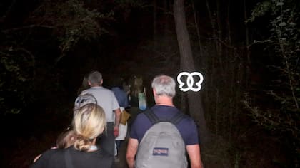 En el transcurso de la caminata las mariposas iban iluminando el camino.