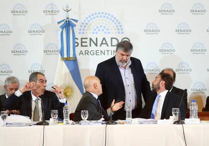 En el tratamiento en comisiones de la Ley Bases, el RIGI es un tema que genera polémica.
