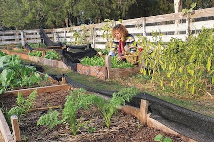 En el último año, Natalia cambió su alimentación por completo. Dejó los enlatados, las gaseosas, el azúcar y las harinas blancas y ahora privilegia las frutas y las verduras orgánicas, que cosecha ella misma.