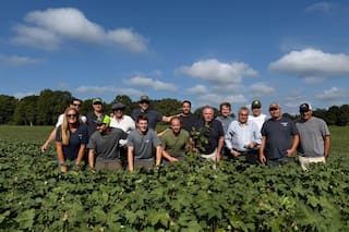 La Argentina vs. Estados Unidos: ¿estamos cerca, mejor o lejos en producción agrícola?