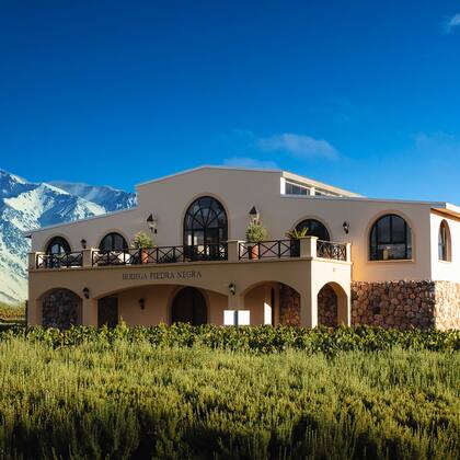 En el Valle de Uco, Bodega Piedra Negra ofrece etiquetas jóvenes y de gran proyección.