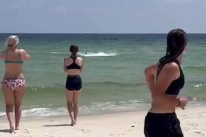 El aterrador momento en que un tiburón sorprende a turistas en una playa de Florida